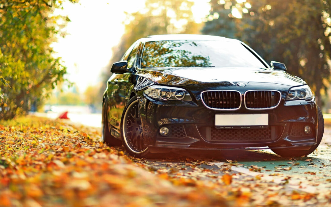 Are Transport Prices Affected by Seasons?