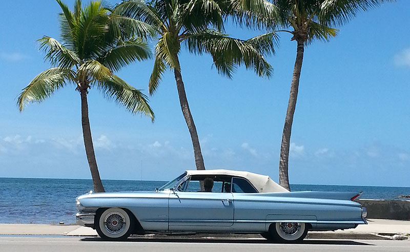 Auto Transport’s Snowbird Service